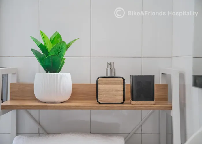 Living Dante 41 ペザロ